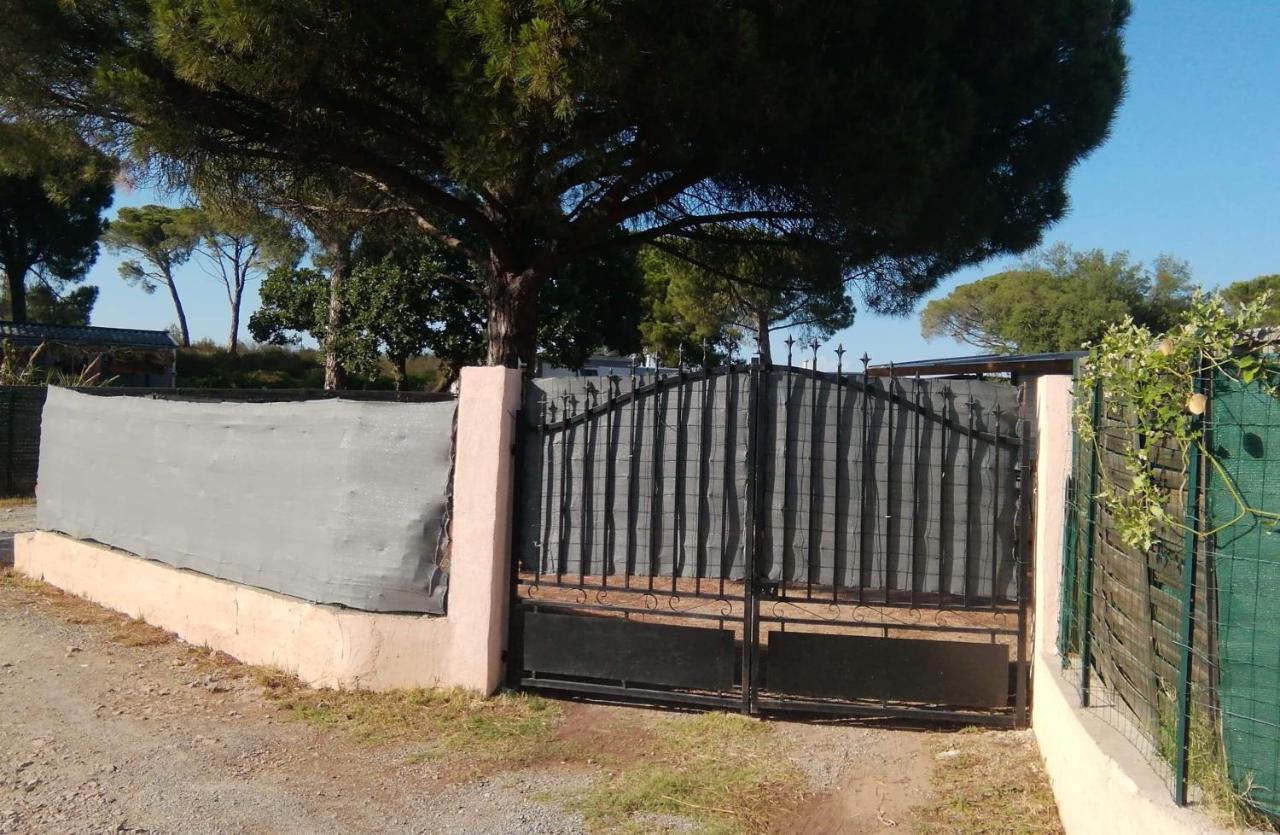 Mobilhome A Frejus A 15 Minute De La Mer Sur Terrain Independant Ngoại thất bức ảnh